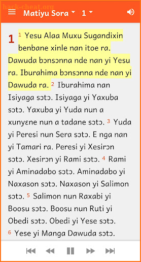 Yalunka Bible screenshot