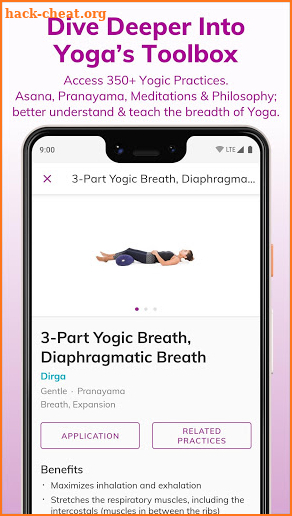 Yoga Therapeutics Pro screenshot