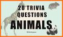 Guess the Animal: fun trivia game related image