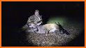 Extreme Deer Hunting 2019 related image