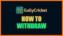 GullyCricket - Fantasy Cricket for the US related image