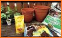 All About Container Gardening related image