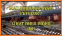 tips membuat kandang ayam petelur related image