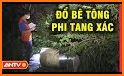 Báo hay 24h - Đọc báo mới, tin hay, tin tức 24h related image