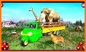 Tuk Tuk Wild Animal Transport Truck related image