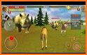 Jungle Lion Simulator: Lion Attack Animal Games related image