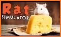 Home Rat simulator related image