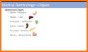 Learn Medical Terminology related image