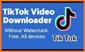 Golden Video Downloader Without Watermark related image