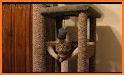 Cat Condo related image