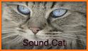 MeowApp - Cat Sounds related image