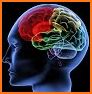 Memorado - Brain Games related image