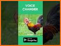 Voice Changer Boy To Girl & Audio Effects Recorder related image