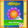 Word Games Word Puzzles Helper related image