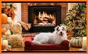 Cute Holiday Puppies Theme related image