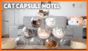 Cat Hotel Design : Match 3D related image