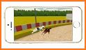 Wild Greyhound Dog Racing related image