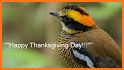 Happy Thanksgiving Images related image