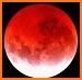 EclipseLive related image