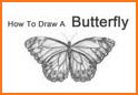 How to Draw Butterfly - Step by Step related image