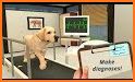 Pet Animal Hospital Simulator 2020- 3D Doctor Game related image