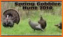 Season Camera - SPRING related image