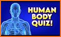 Human Anatomy Learning - Quiz related image