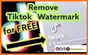 SnapTik Video Downloader TikTok Without Watermark related image