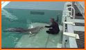 Clearwater Marine Aquarium related image