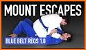 Blue Belt Requirements BJJ related image