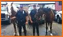 Flying Mounted Police Horse Crime Chase related image