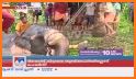 MALAYALAM NEWS LIVE, MANORAMA, MEDIAONE, NEWS 18 related image