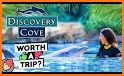 Discovery Cove related image