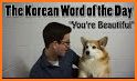 Learn Korean Vocabulary Lite related image