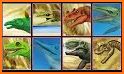 Dinosaurs Puzzles 2 related image