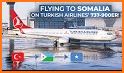 Turkish Airlines – Flight ticket related image