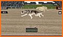 Real Safari Animal Racing Simulator - Wild Race 3D related image