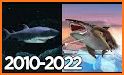 Hungry Crazy Shark World – Jaws Evolution Games related image