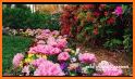 Garden Picture Frames: Nature Photo Editor related image