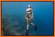 Apnea Free Diving & Snorkeling related image