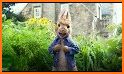 Peter runner rabbit adventure related image