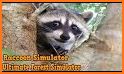 Raccoon Forest Wildlife Sim related image