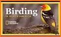 Bird Guide: Identify Birds related image