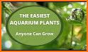 Aquarium Plants Encyclopedia Pro - No Ads related image