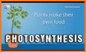 Botany Picture Dictionary for Kids related image