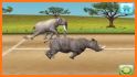 Animal Race related image