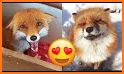 Cute Foxes related image