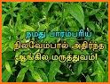 Namathu Parampariyam - நமது பாரம்பரியம் related image