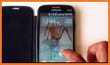 Spider on Screen Live Wallpaper for Prank related image