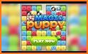 Magic Puppy : CUBE RUSH BLAST GAMES 2019 related image